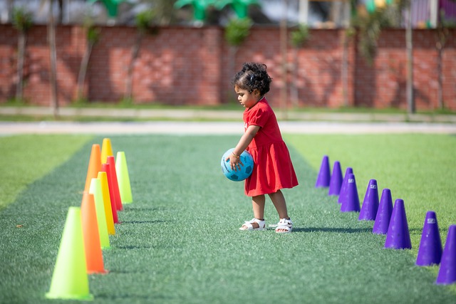 多年的老将 多年的老将