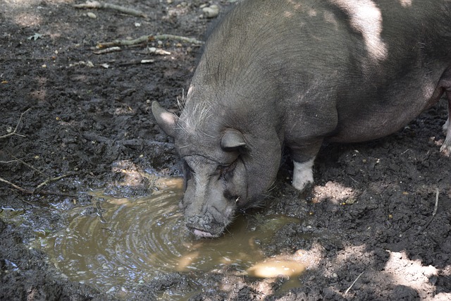 员的快速成 员的快速成