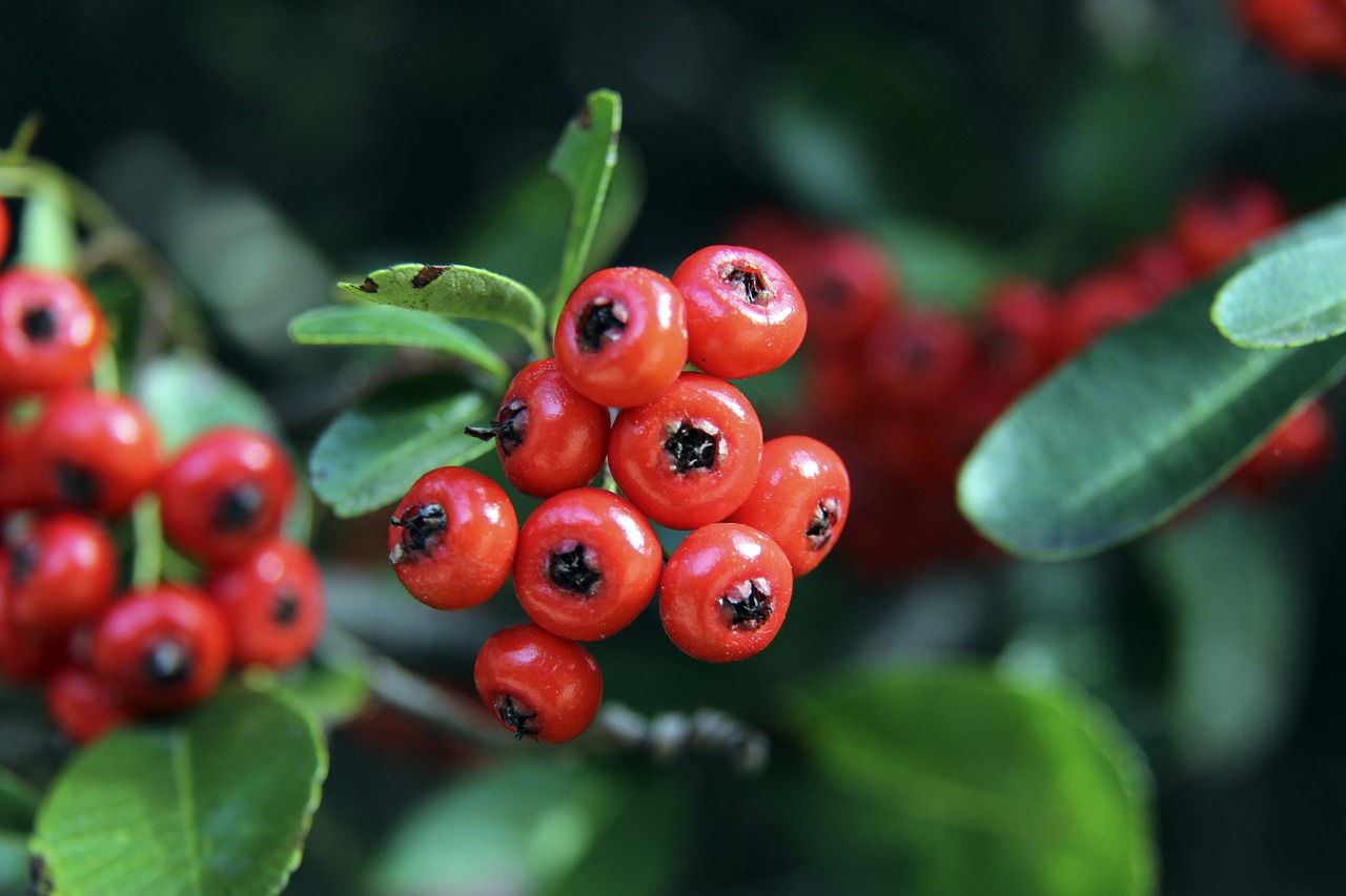 他认为这一 他认为这一