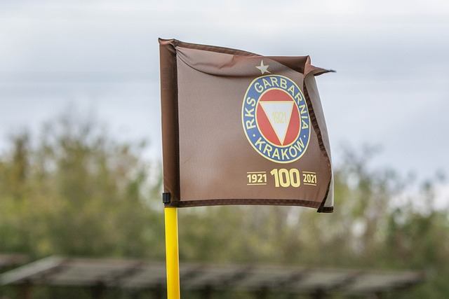 乡一体化发 乡一体化发