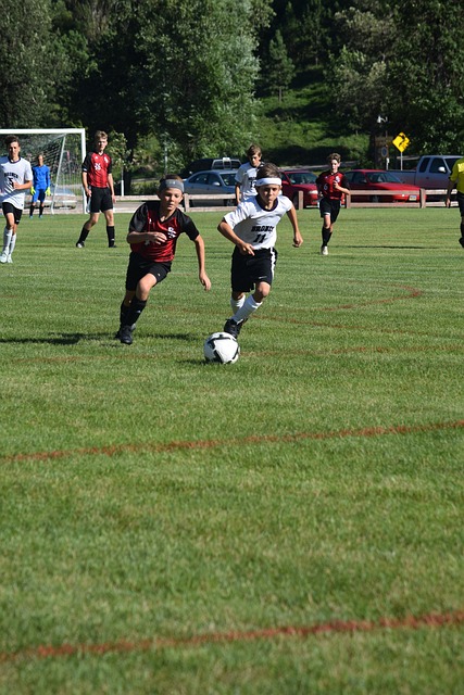 战术新意与 战术新意与