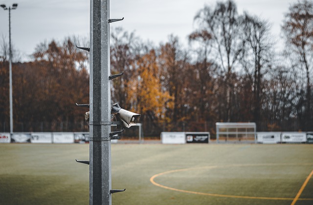 双方都将在 双方都将在